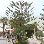 Passport Algarve